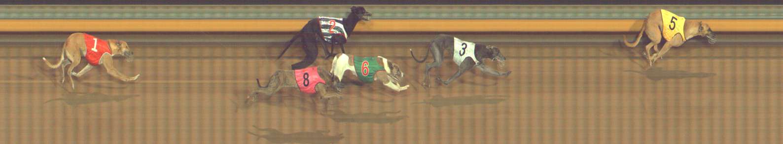 Photo finish for Bendigo Race 7