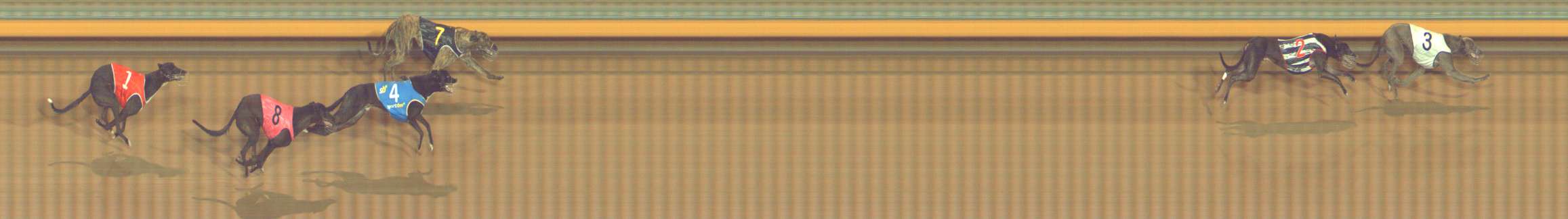 Photo finish for Bendigo Race 8
