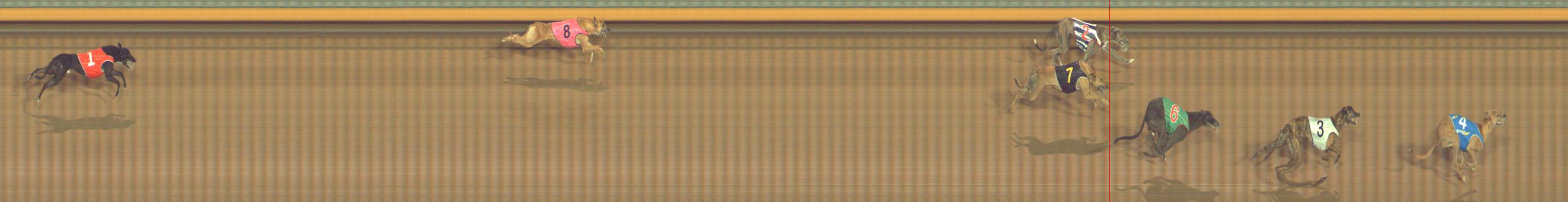 Photo finish for Bendigo Race 9