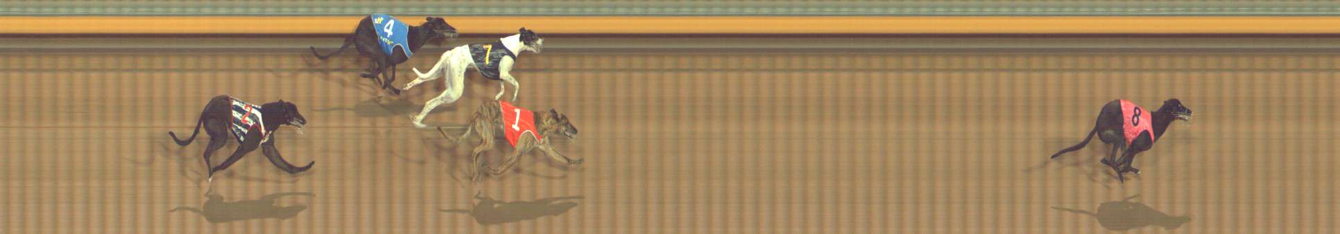 Photo finish for Bendigo Race 10