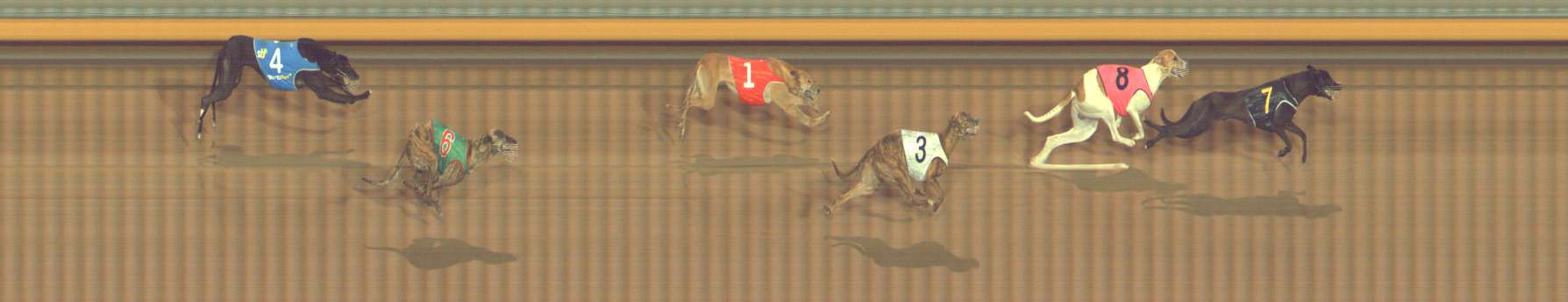 Photo finish for Bendigo Race 12