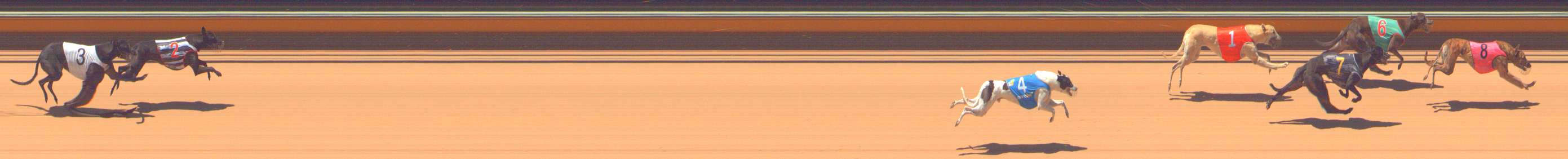 Photo finish for Bendigo Race 2