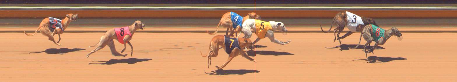 Photo finish for Bendigo Race 3