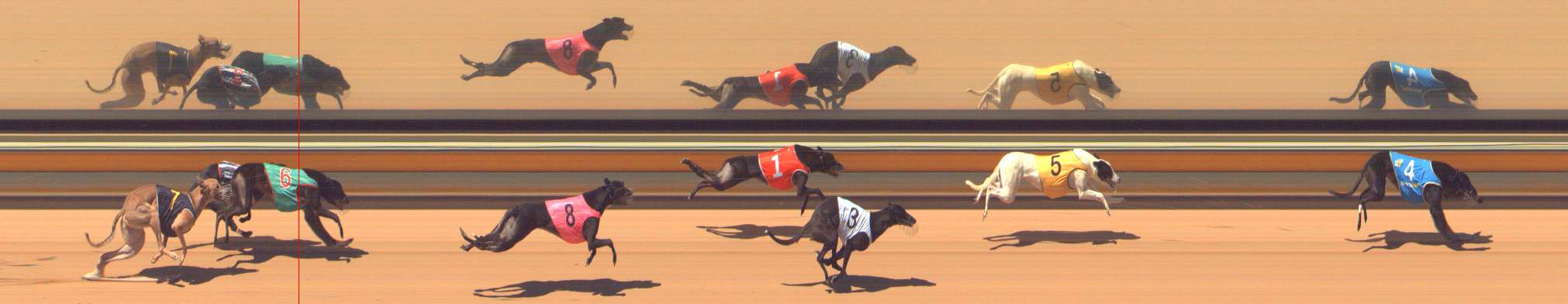 Photo finish for Bendigo Race 5