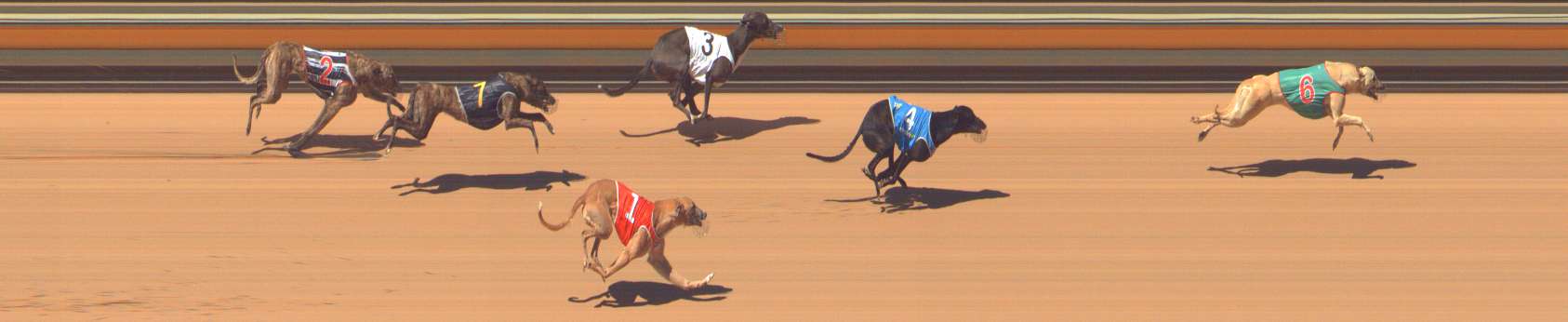 Photo finish for Bendigo Race 6