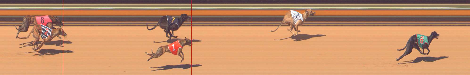 Photo finish for Bendigo Race 7