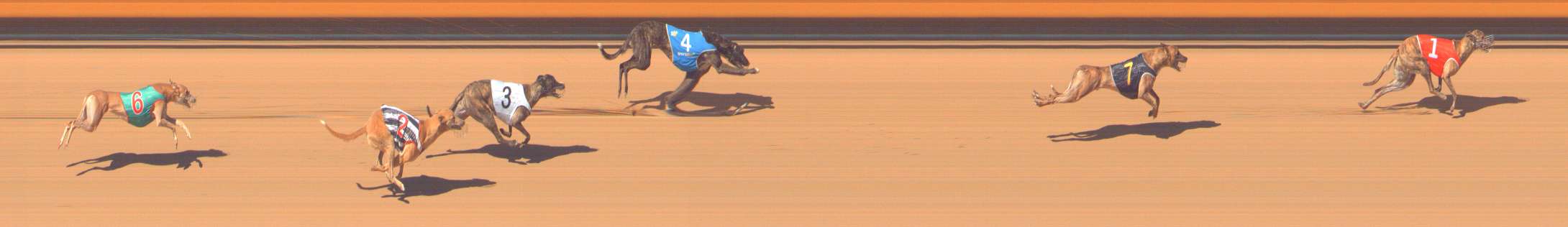 Photo finish for Bendigo Race 8
