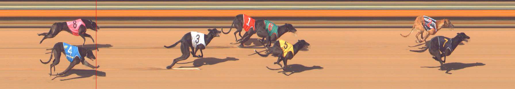 Photo finish for Bendigo Race 9