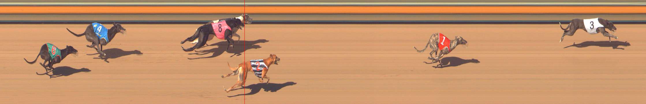 Photo finish for Bendigo Race 10