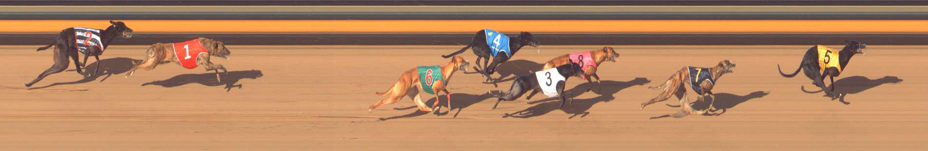 Photo finish for Bendigo Race 12