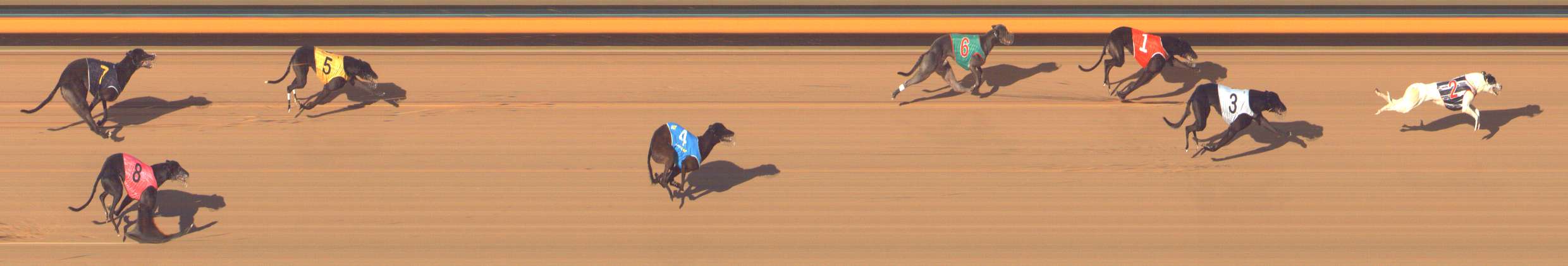 Photo finish for Bendigo Race 13