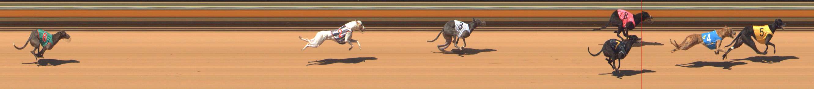 Photo finish for Bendigo Race 2