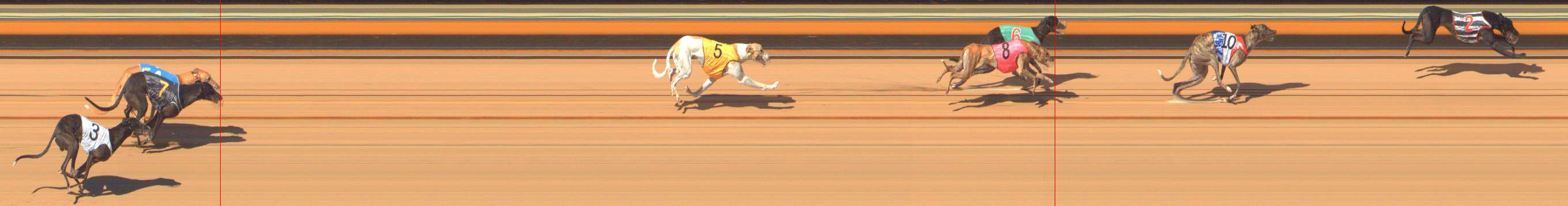 Photo finish for Bendigo Race 4