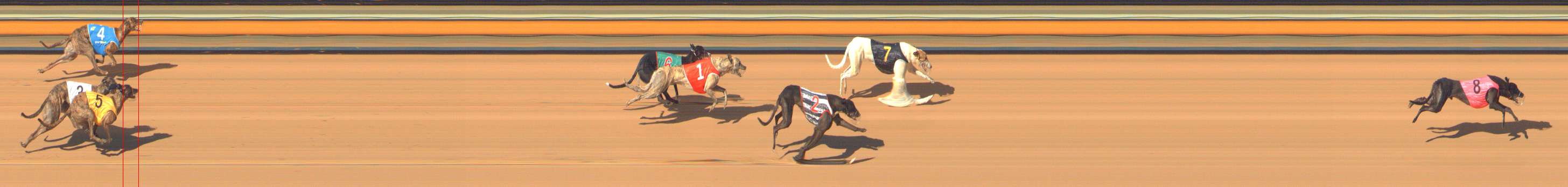 Photo finish for Bendigo Race 6