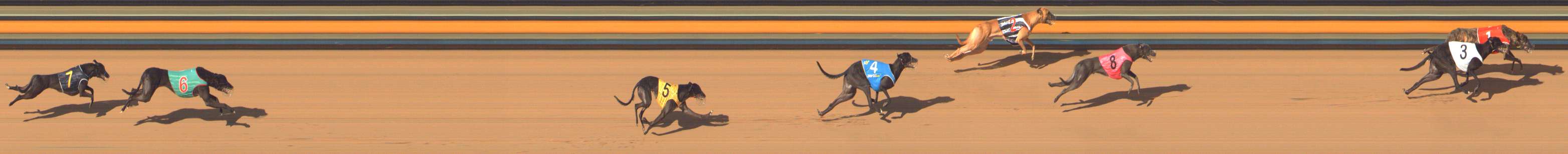 Photo finish for Bendigo Race 7
