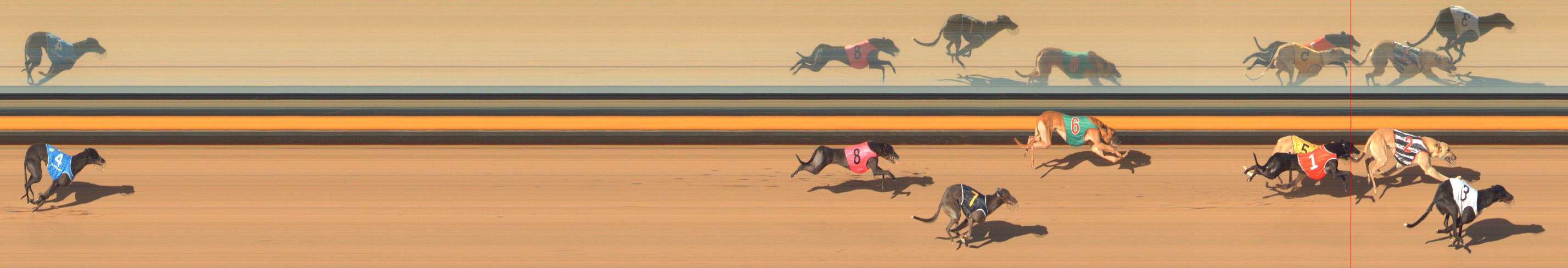 Photo finish for Bendigo Race 8