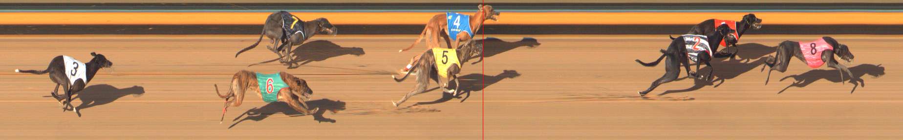 Photo finish for Bendigo Race 9