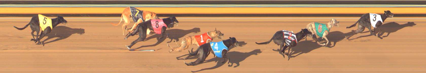 Photo finish for Bendigo Race 10