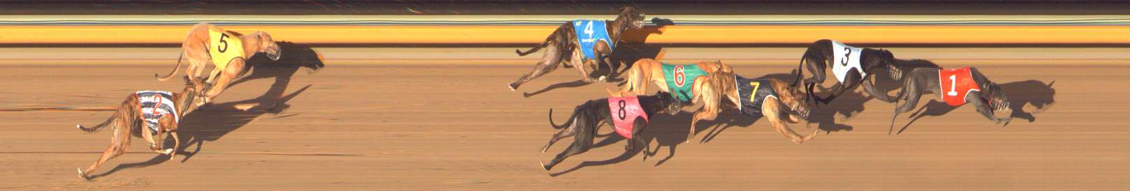 Photo finish for Bendigo Race 11