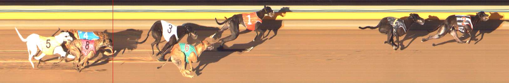 Photo finish for Bendigo Race 12