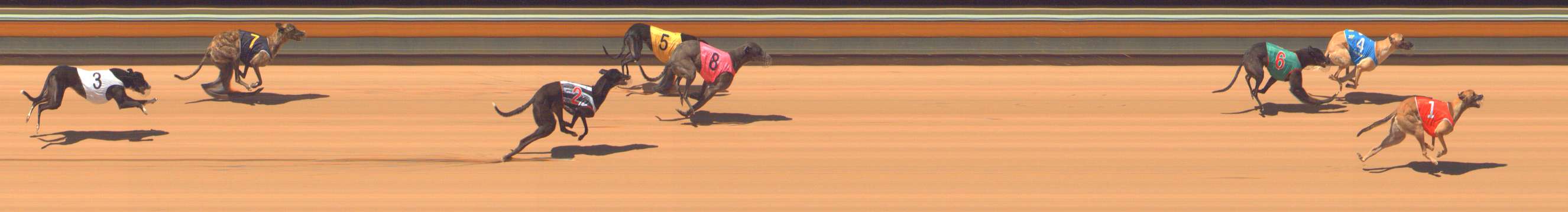 Photo finish for Bendigo Race 1