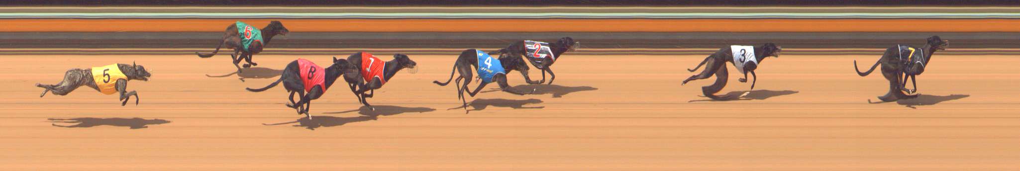 Photo finish for Bendigo Race 2