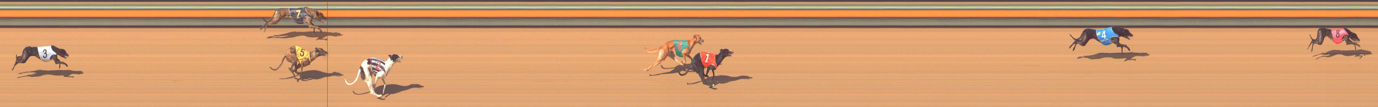Photo finish for Bendigo Race 6