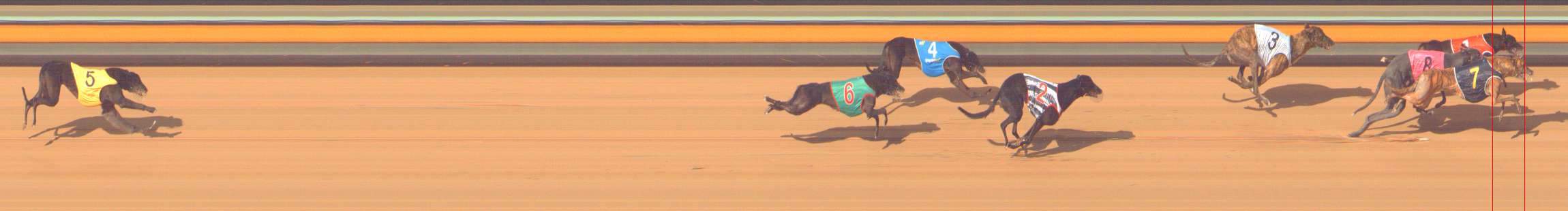 Photo finish for Bendigo Race 7