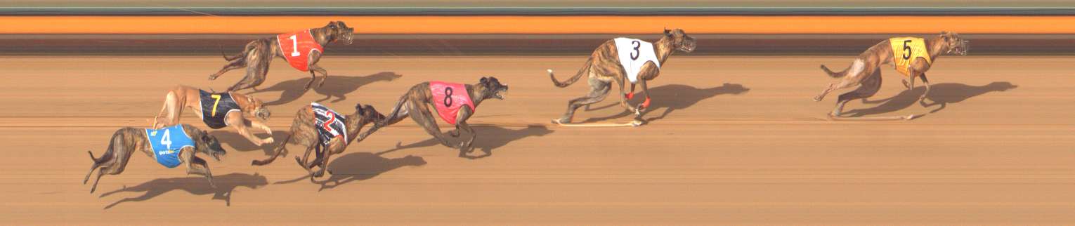 Photo finish for Bendigo Race 8