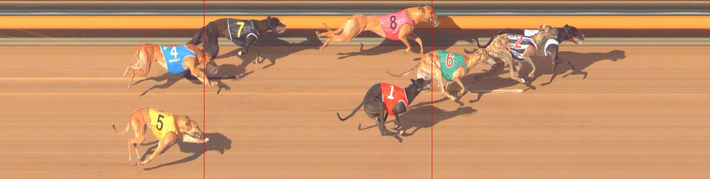 Photo finish for Bendigo Race 10