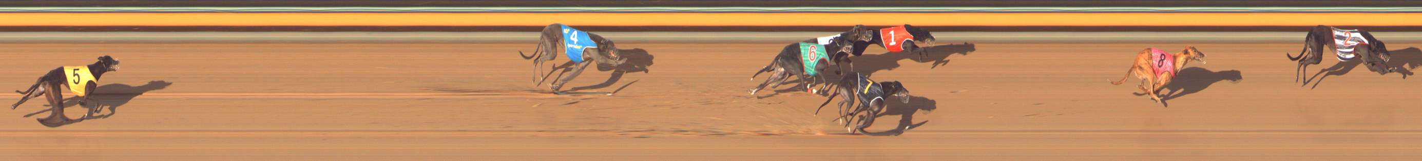 Photo finish for Bendigo Race 11