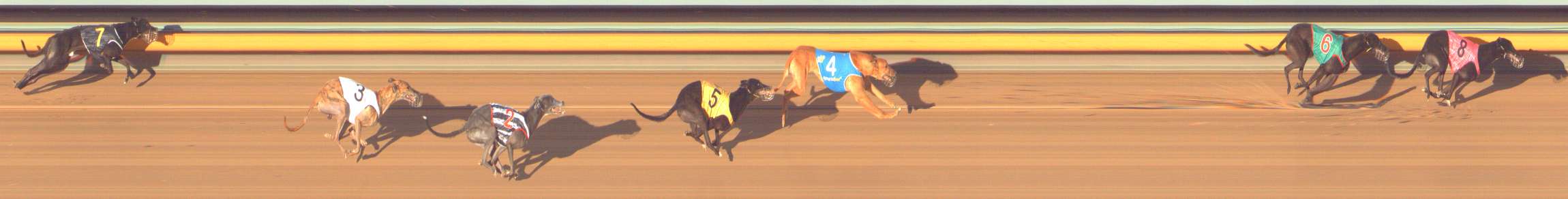 Photo finish for Bendigo Race 12