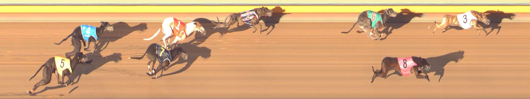 Photo finish for Bendigo Race 13