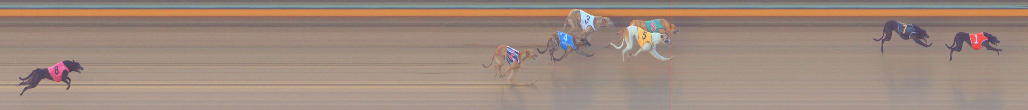 Photo finish for Bendigo Race 1