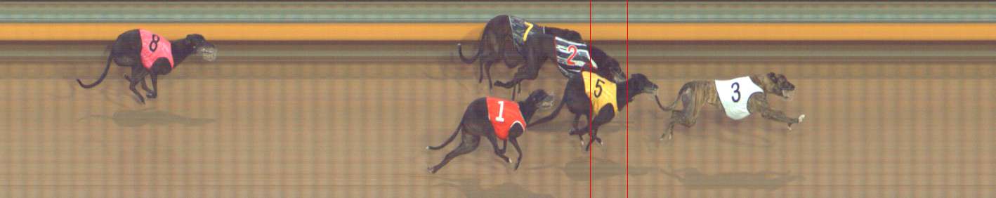 Photo finish for Bendigo Race 5