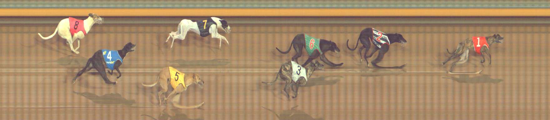 Photo finish for Bendigo Race 6