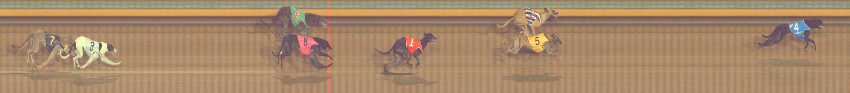 Photo finish for Bendigo Race 7