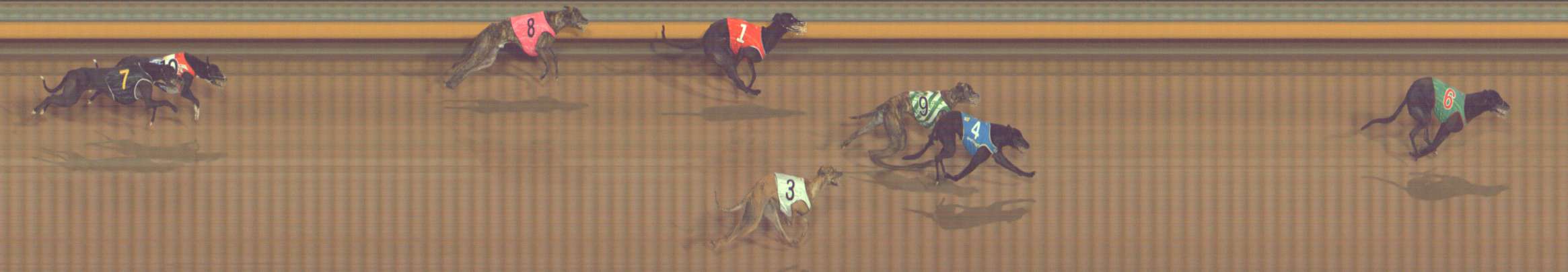 Photo finish for Bendigo Race 8