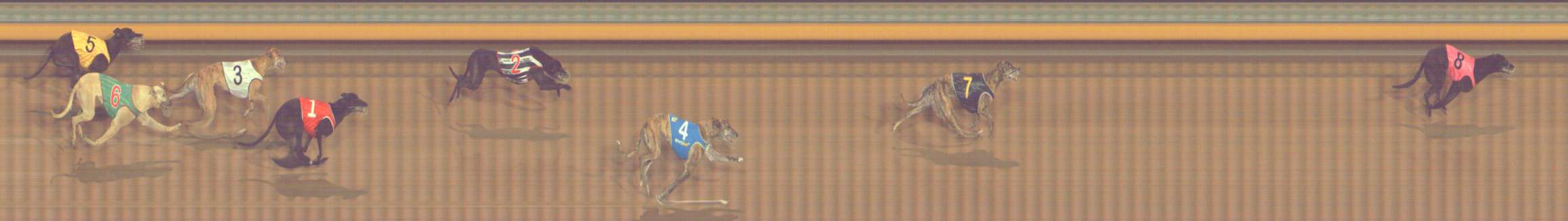 Photo finish for Bendigo Race 11