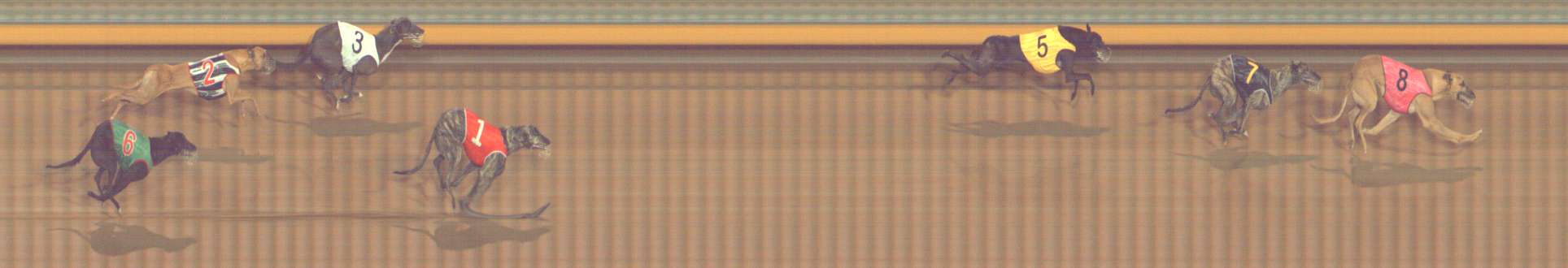 Photo finish for Bendigo Race 12