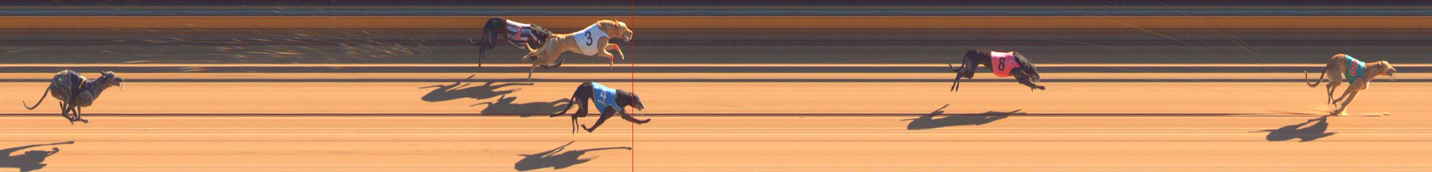 Photo finish for Bendigo Race 1