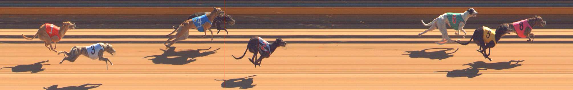Photo finish for Bendigo Race 3