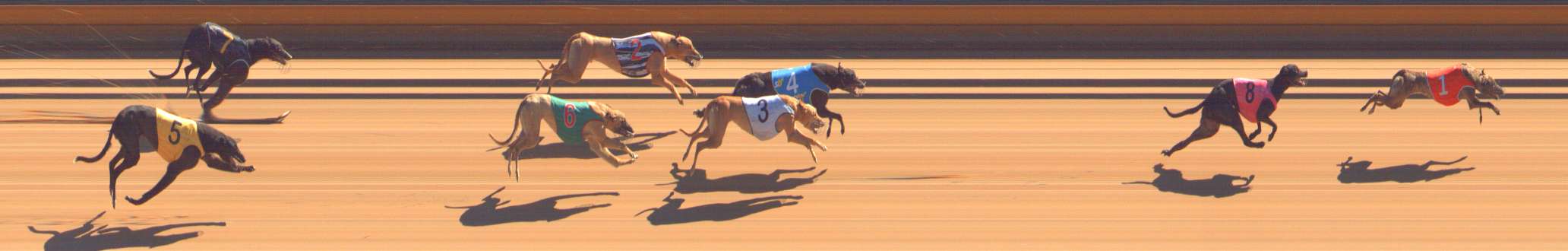 Photo finish for Bendigo Race 4