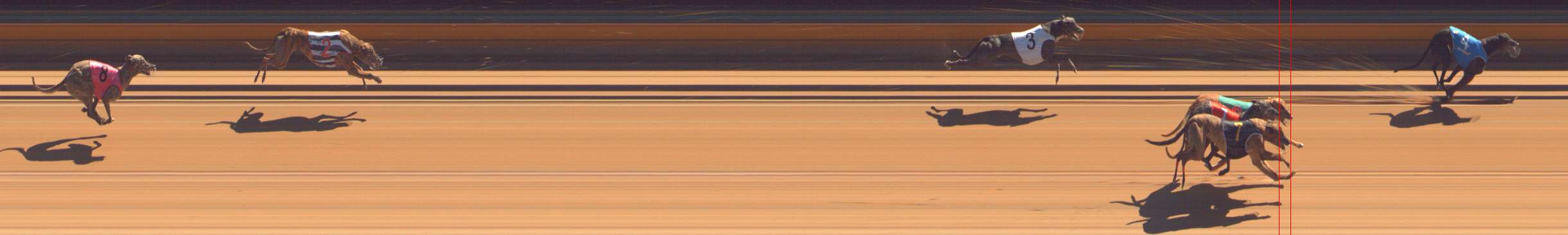 Photo finish for Bendigo Race 5