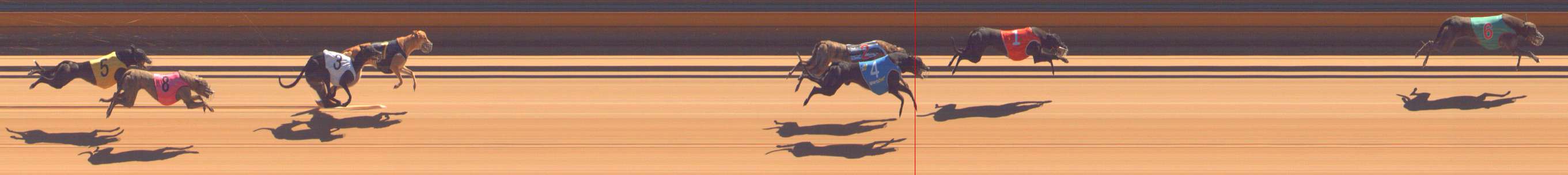 Photo finish for Bendigo Race 6