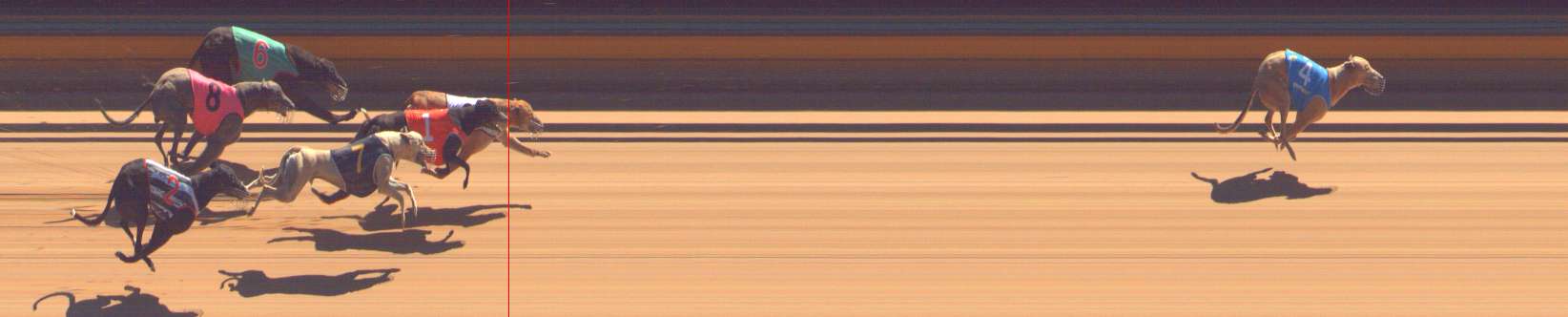 Photo finish for Bendigo Race 7