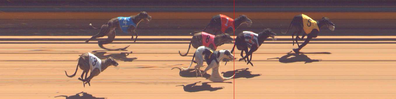 Photo finish for Bendigo Race 8