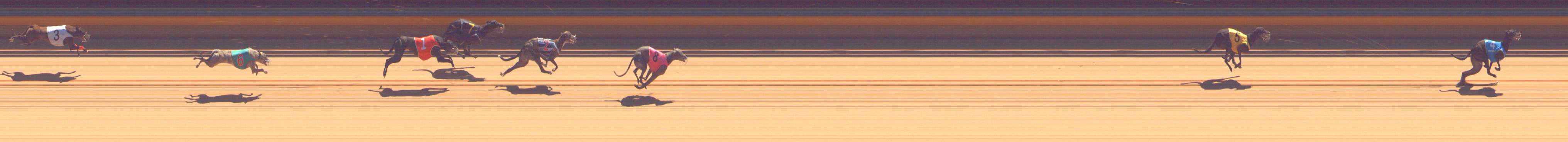 Photo finish for Bendigo Race 9