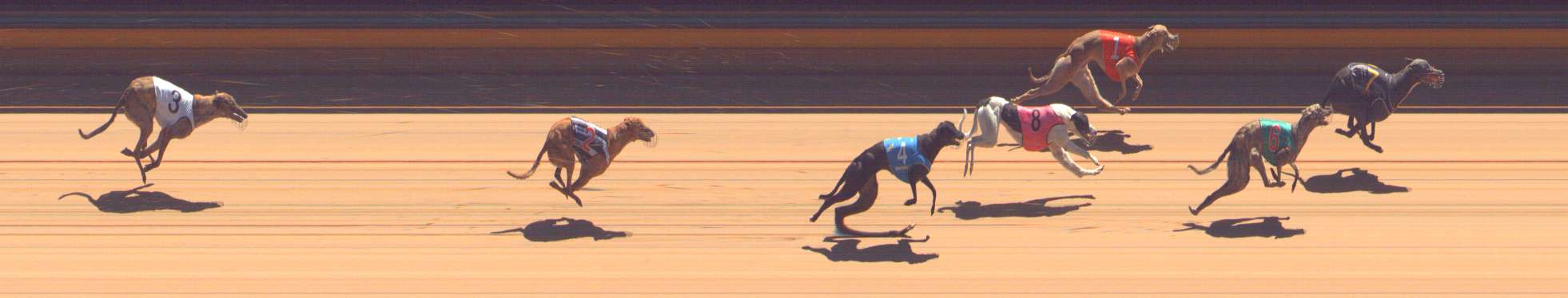 Photo finish for Bendigo Race 10