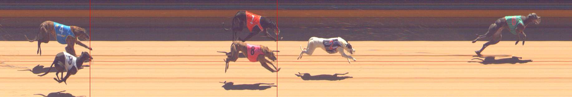 Photo finish for Bendigo Race 11